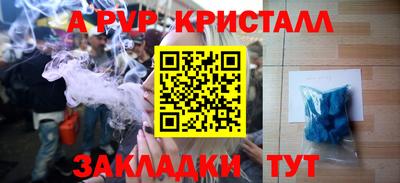 прущие грибы Новодвинск