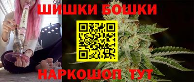 индика Новозыбков