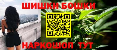 индика Новозыбков