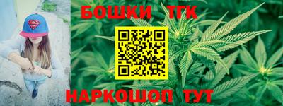 индика Новозыбков