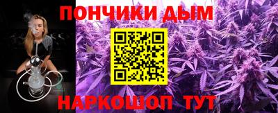 индика Новозыбков