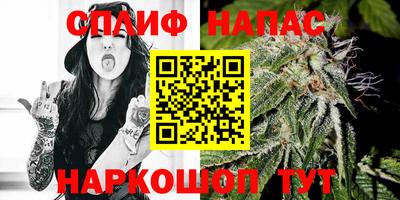 прущие грибы Новодвинск