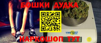 индика Новозыбков