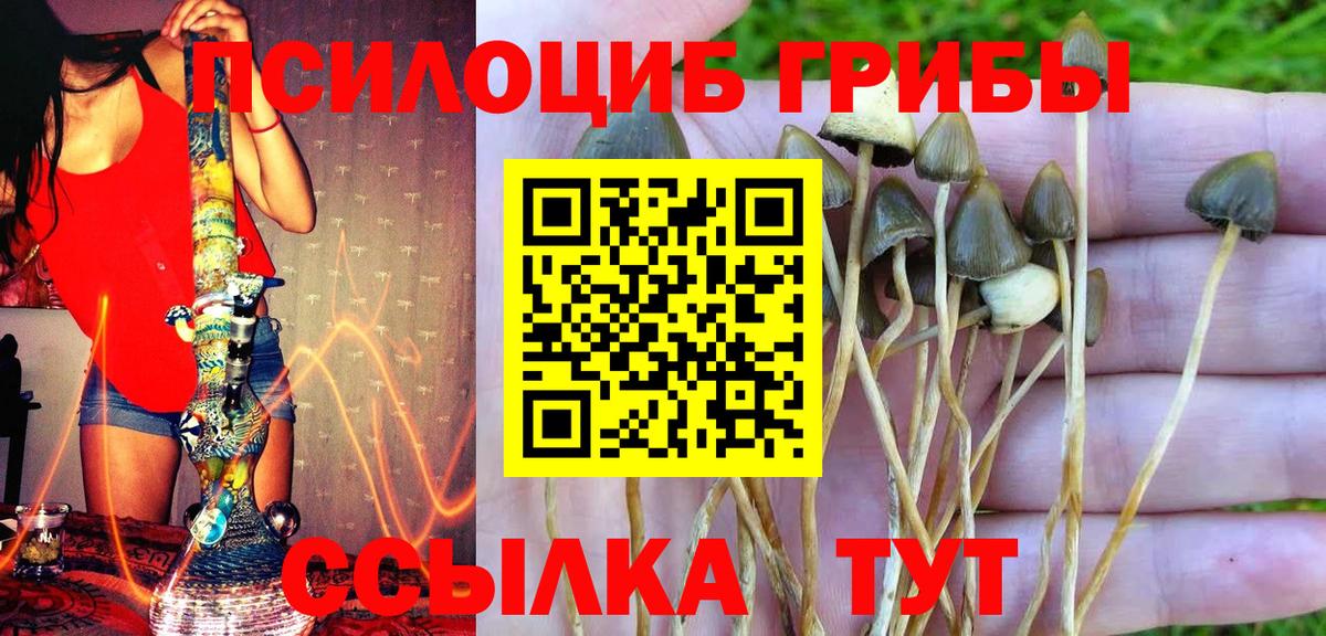 Псилоцибиновые грибы мухоморы  Вход с VPN  Ачхой-Мартан  Псилоцибиновые грибы мицелий 