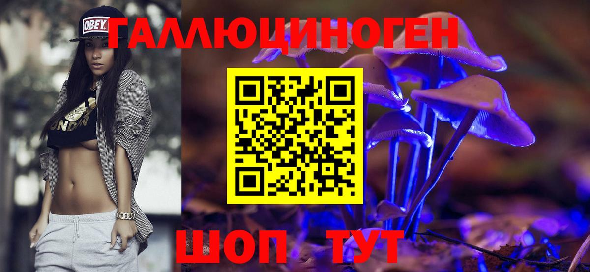 Псилоцибиновые грибы Cubensis Ачхой-Мартан