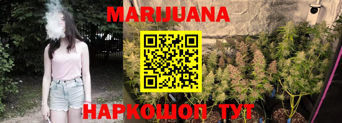 Бошки Шишки сатива Ачхой-Мартан